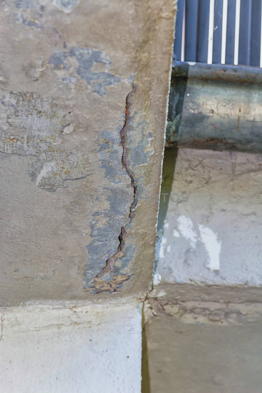 Small cracks in the plaster on the outer wall caused by a tree bend.
