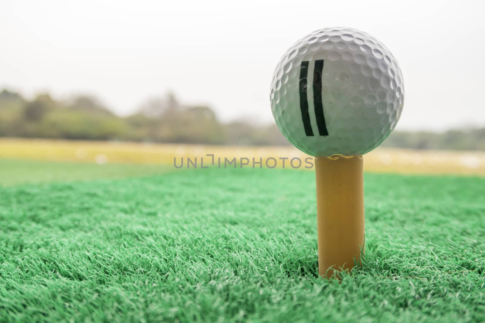 Golf ball on a Tee in driving range