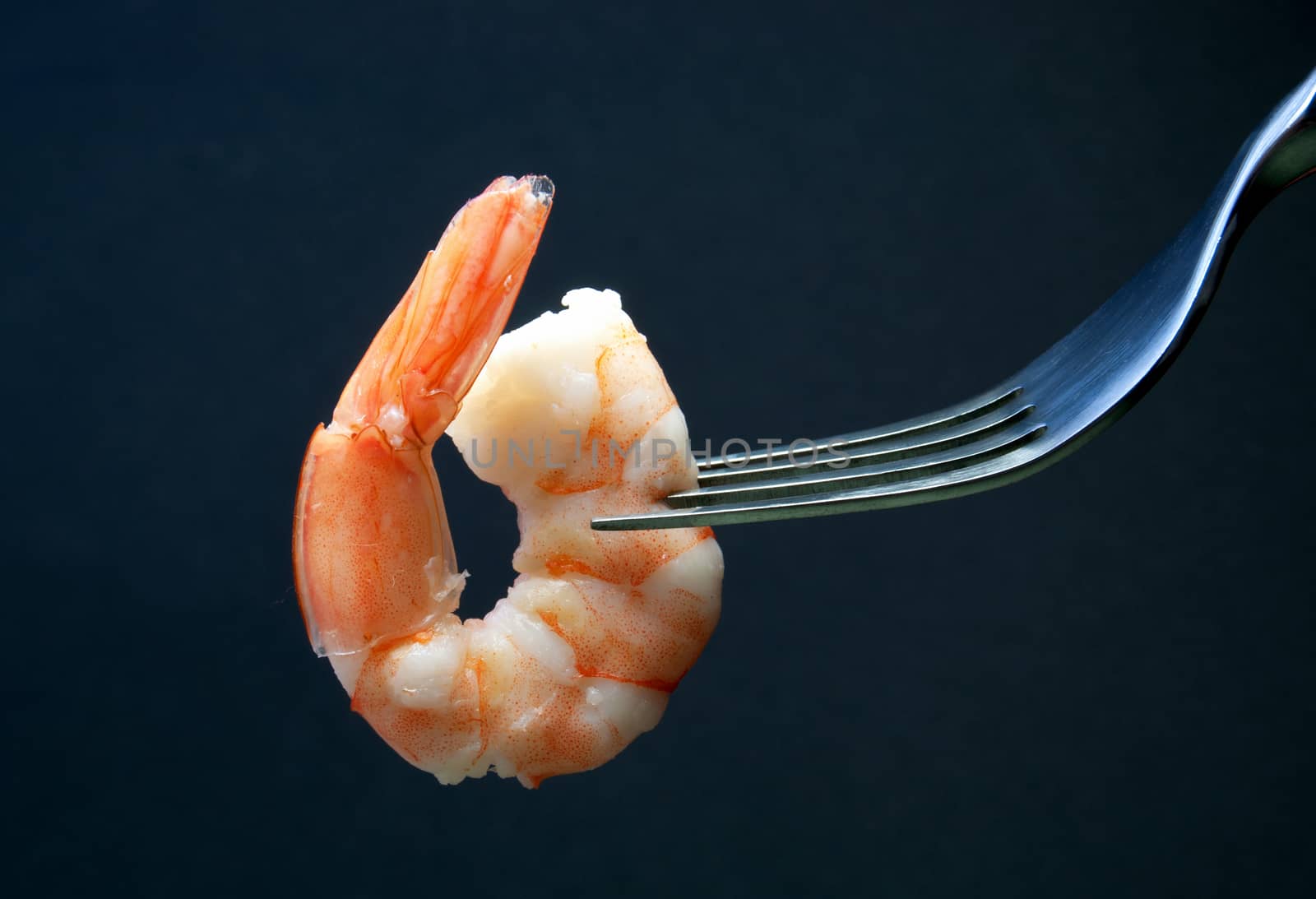 Cooked prawn on a fork close up