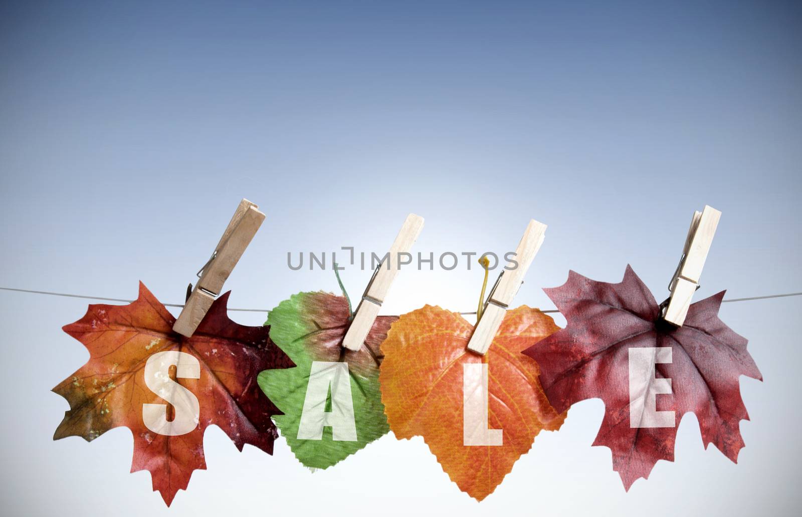 Autumn sales  by unikpix