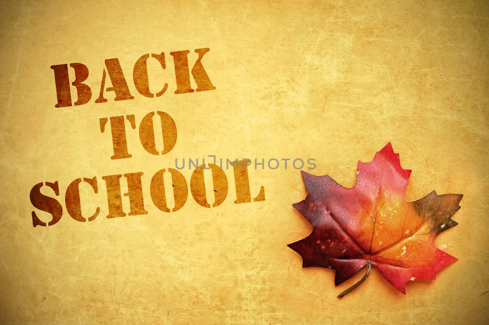 Back to school background with autumn leaf 