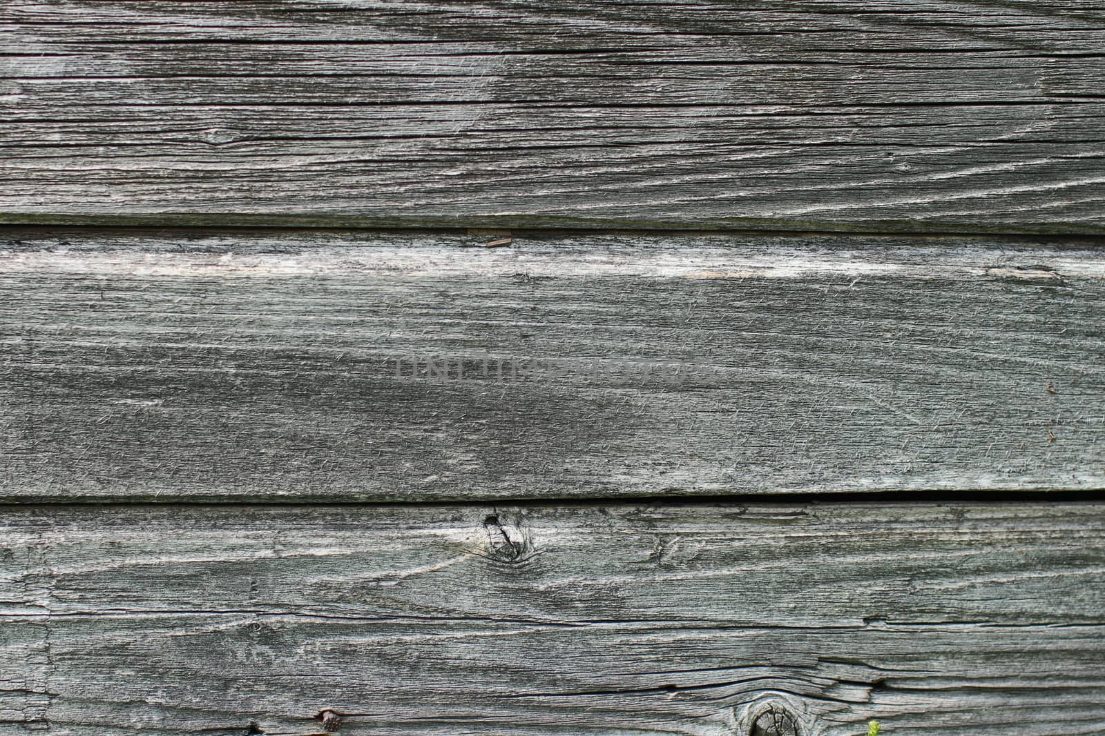 Texture of gray weathered boards by mrivserg