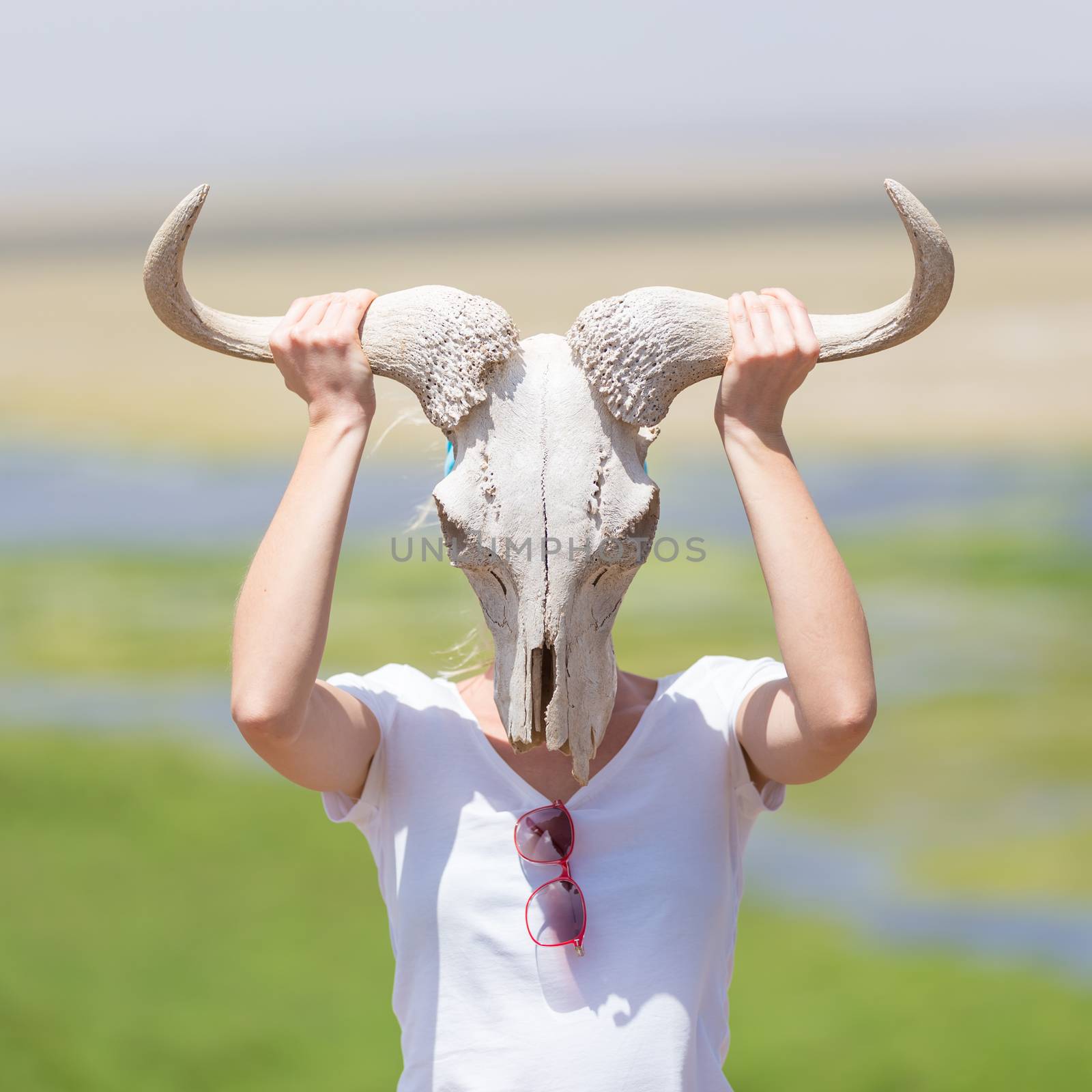 Woman holding a white wildebeest skull wearing it like a mask in nature on african wildlife safari, Amboseli national park, Kenya.