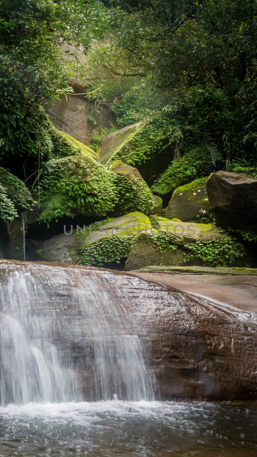 Stream in the tropical forest . Cascade falls over mossy rocks