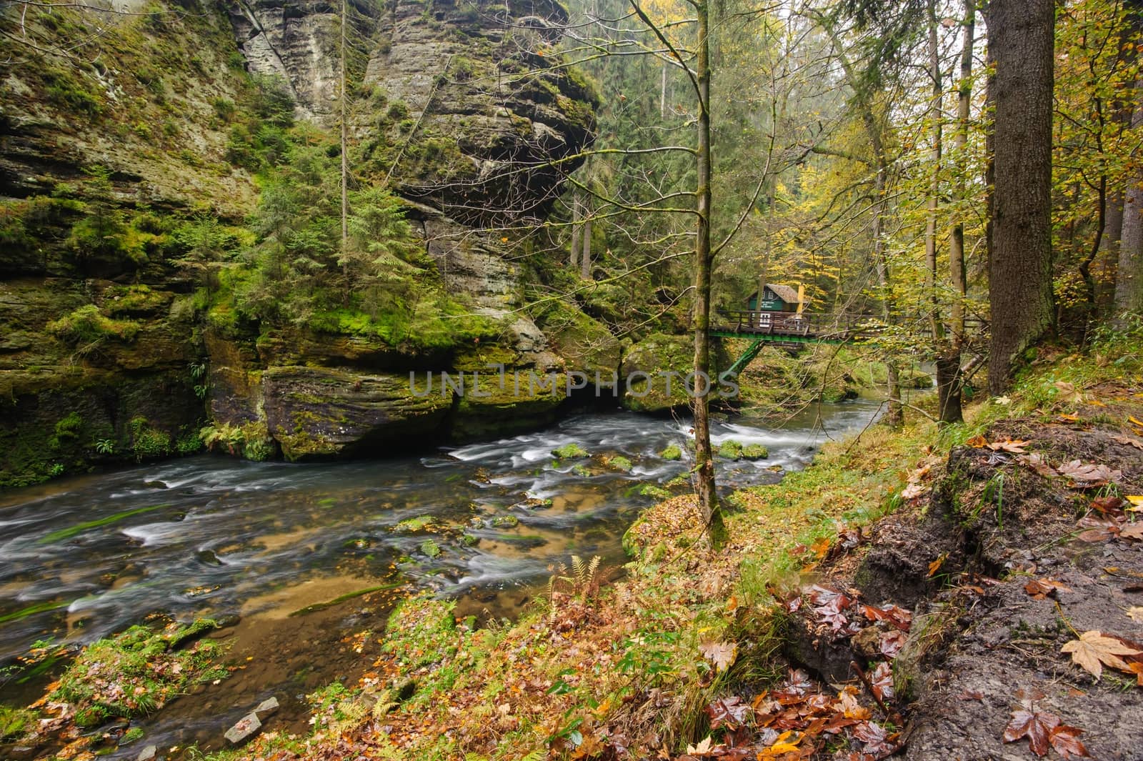 Autumn colored trees, leaves, rocks around the beautiful river