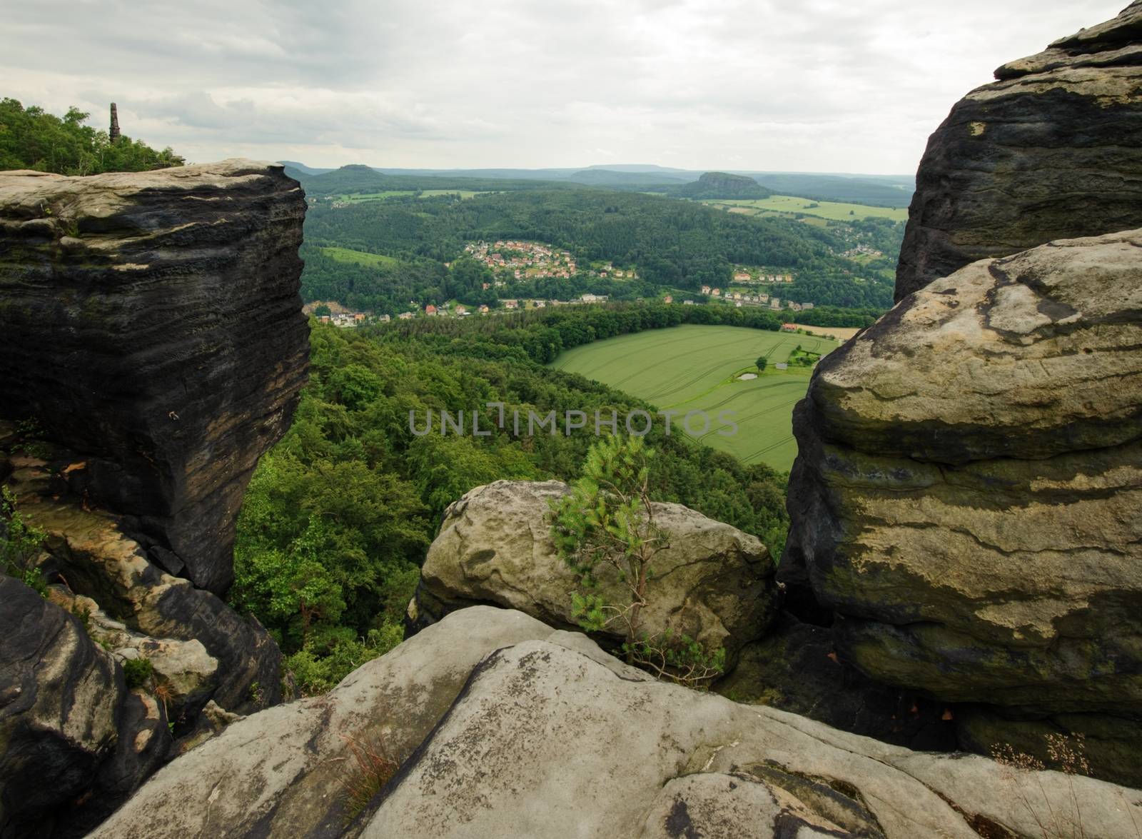 Beautiful summer landscape with meadows, forests and sky