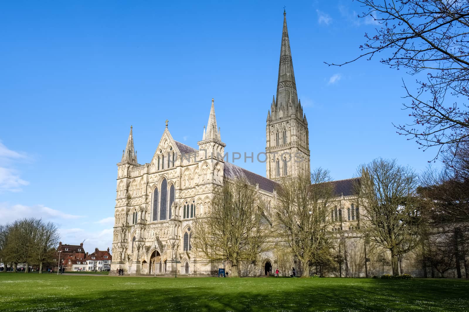 Exterior View of Salisbury Cathedral by phil_bird