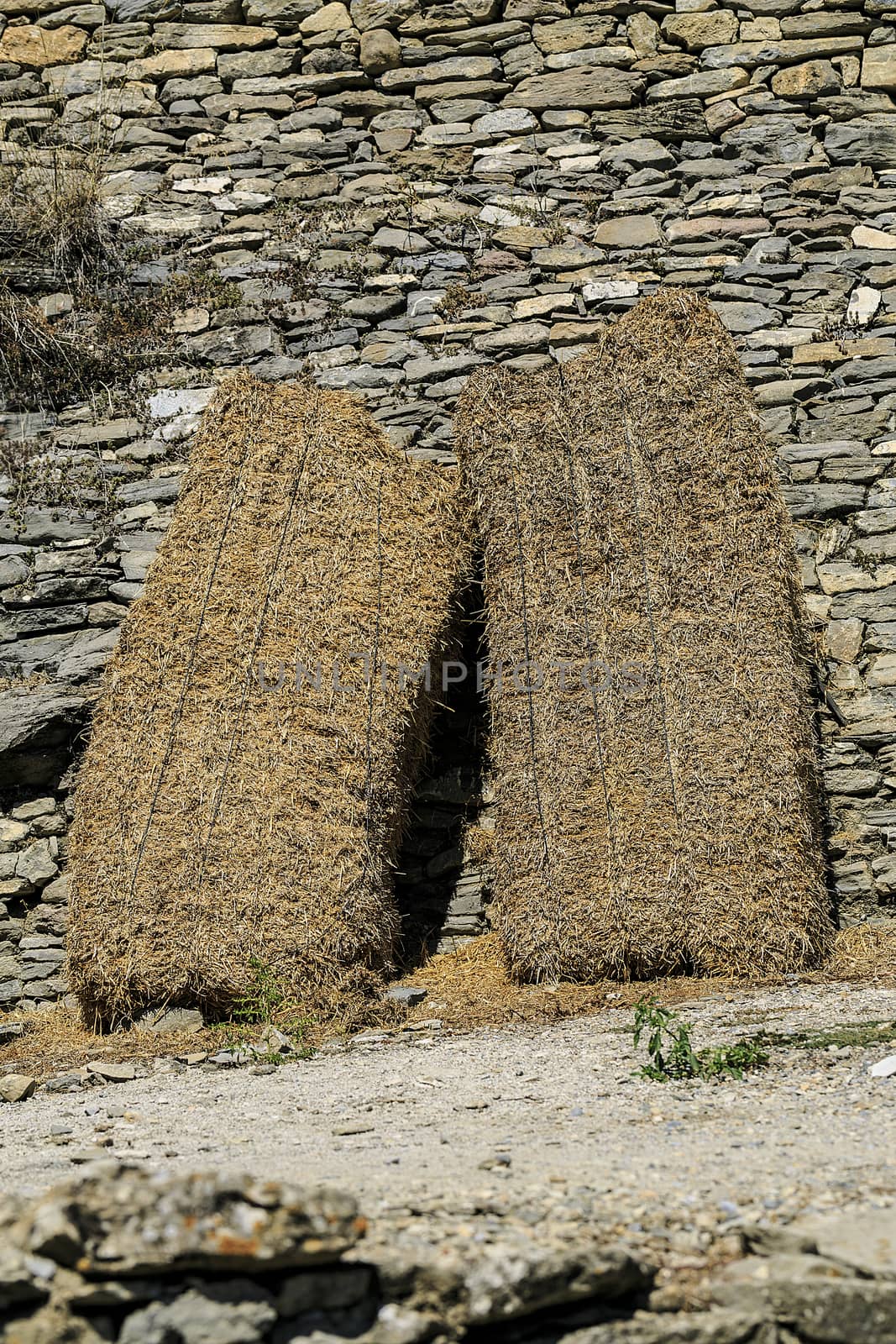 straw in a wall of stones
