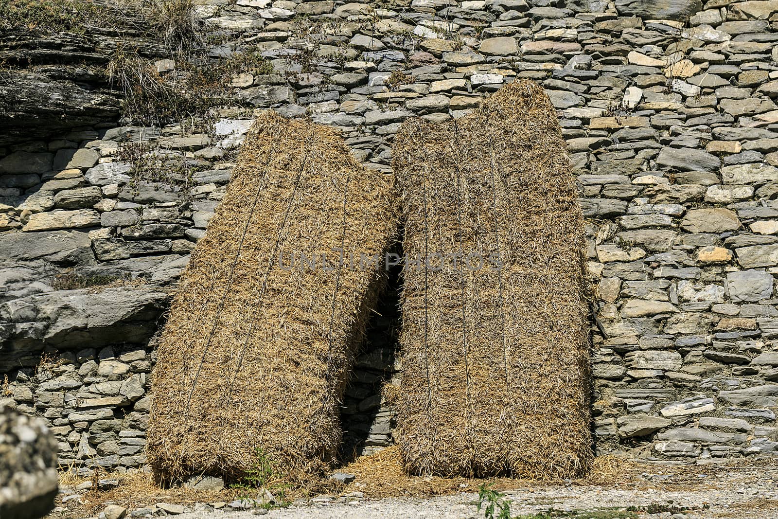 straw in a wall of stones