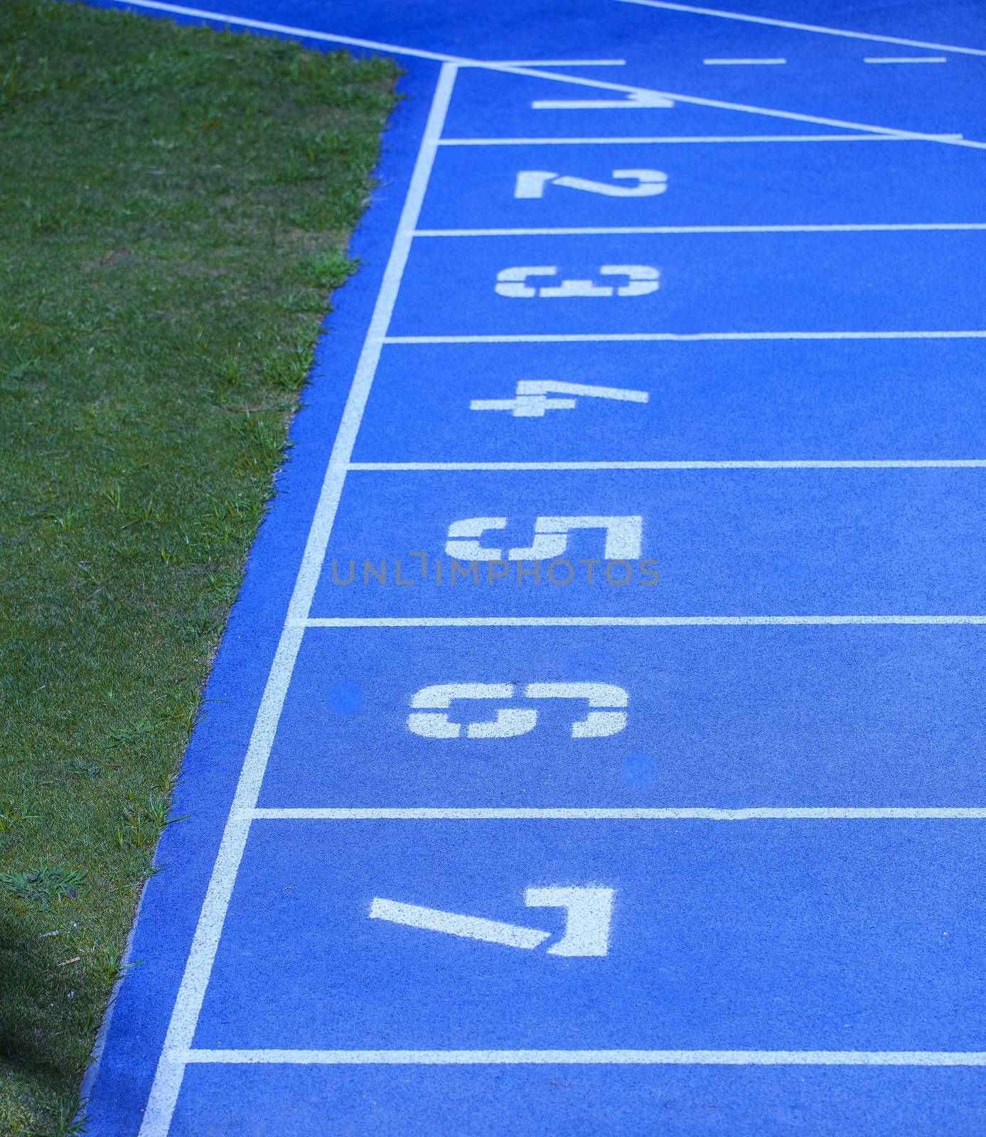Blue athletic track in a stadium by nachrc2001