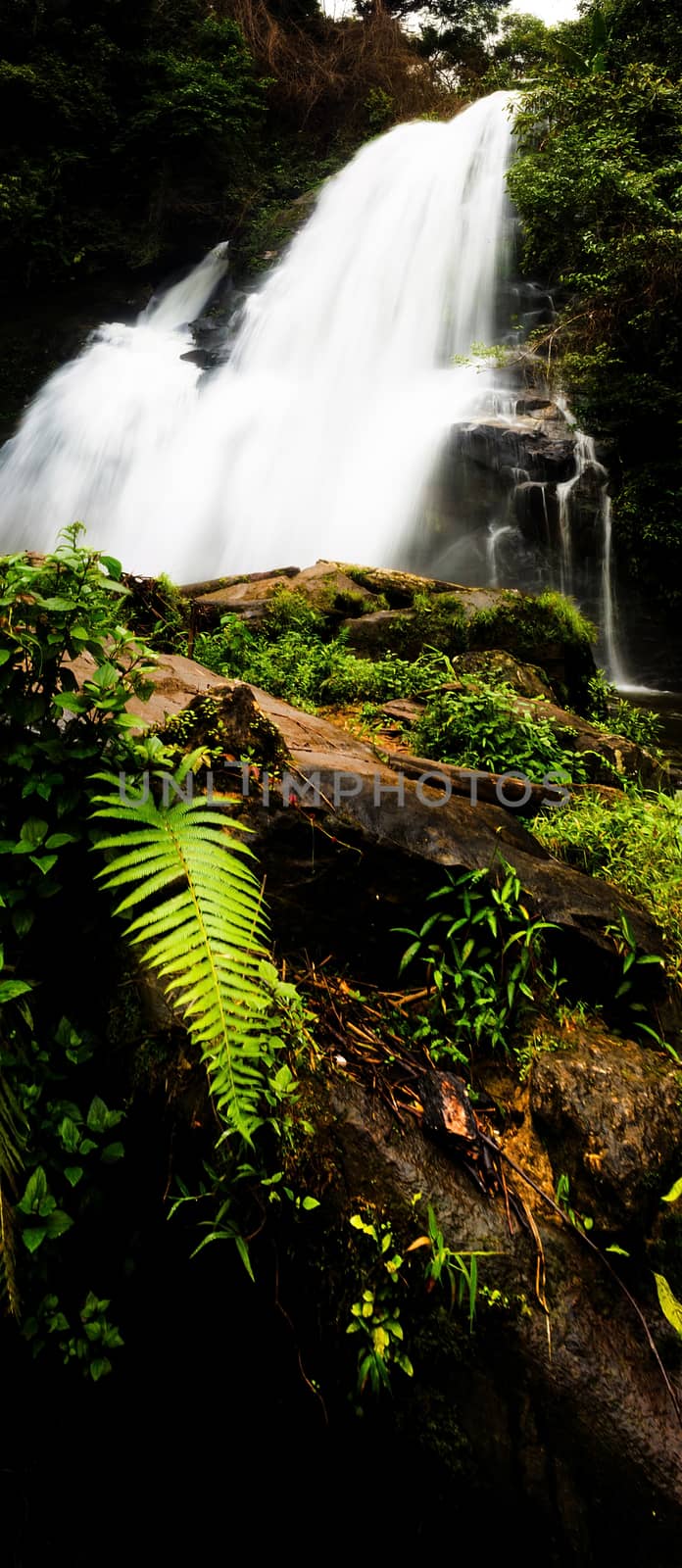 Pha Dok Seaw Waterfall in Chiang Mai, Thailand