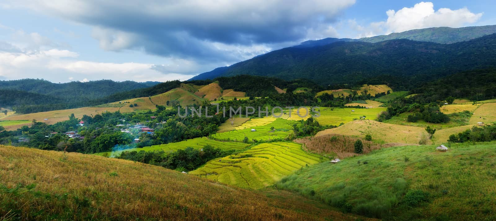 Rice terraces in Chiang Mai, Thailand