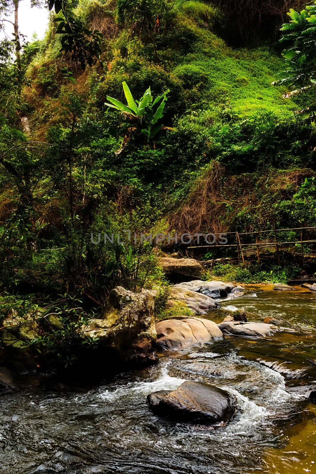Pha Dok Seaw Waterfall in Chiang Mai, Thailand