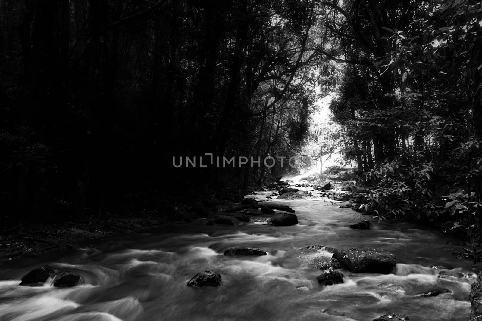 Pha Dok Seaw Waterfall in Chiang Mai, Thailand