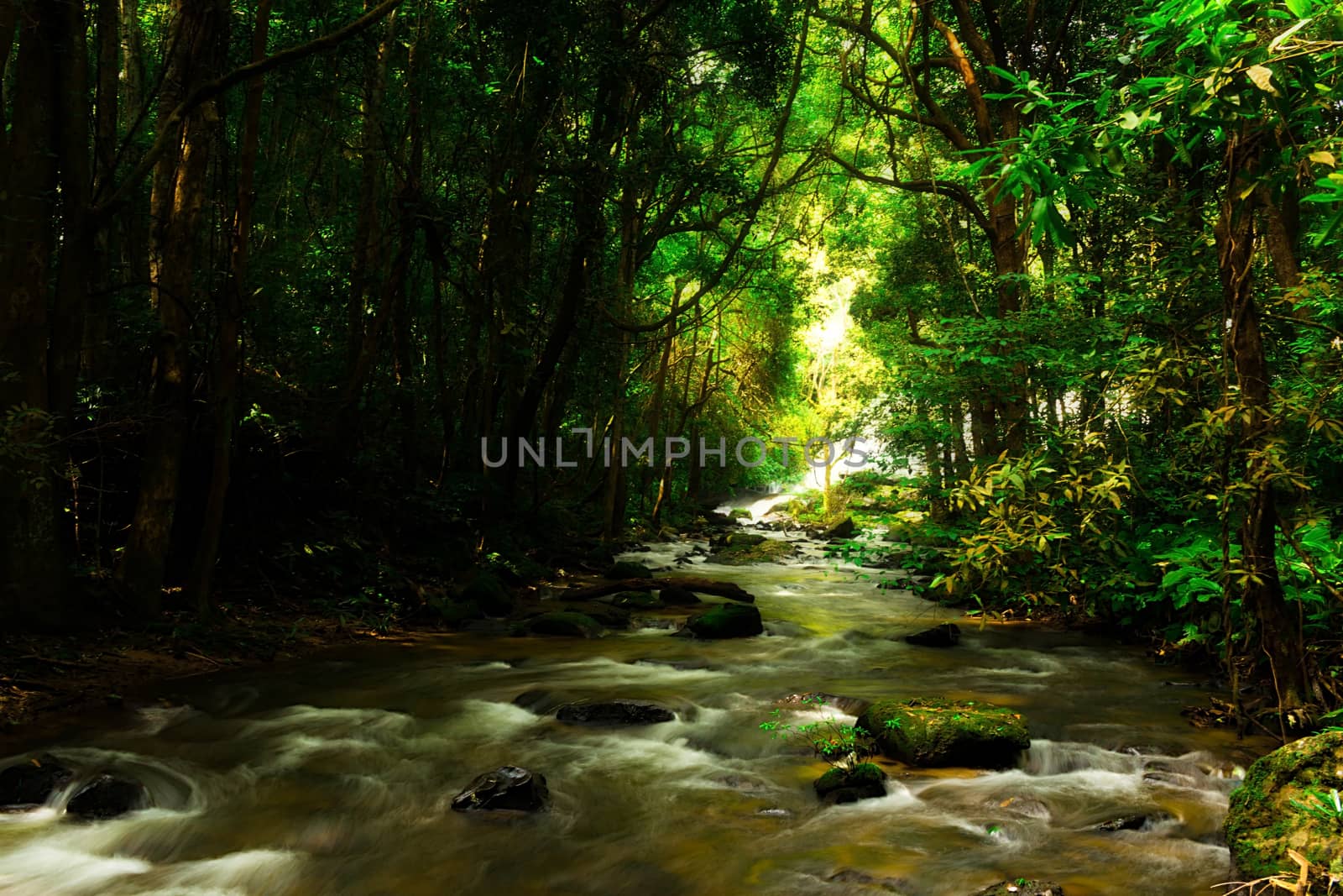 Pha Dok Seaw Waterfall in Chiang Mai, Thailand