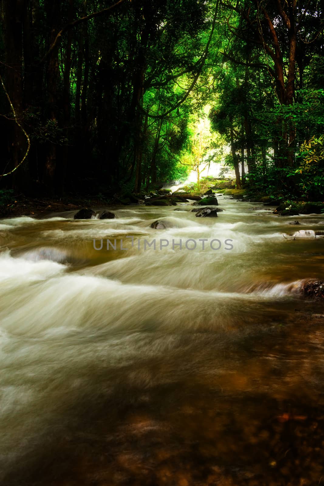 Pha Dok Seaw Waterfall in Chiang Mai, Thailand
