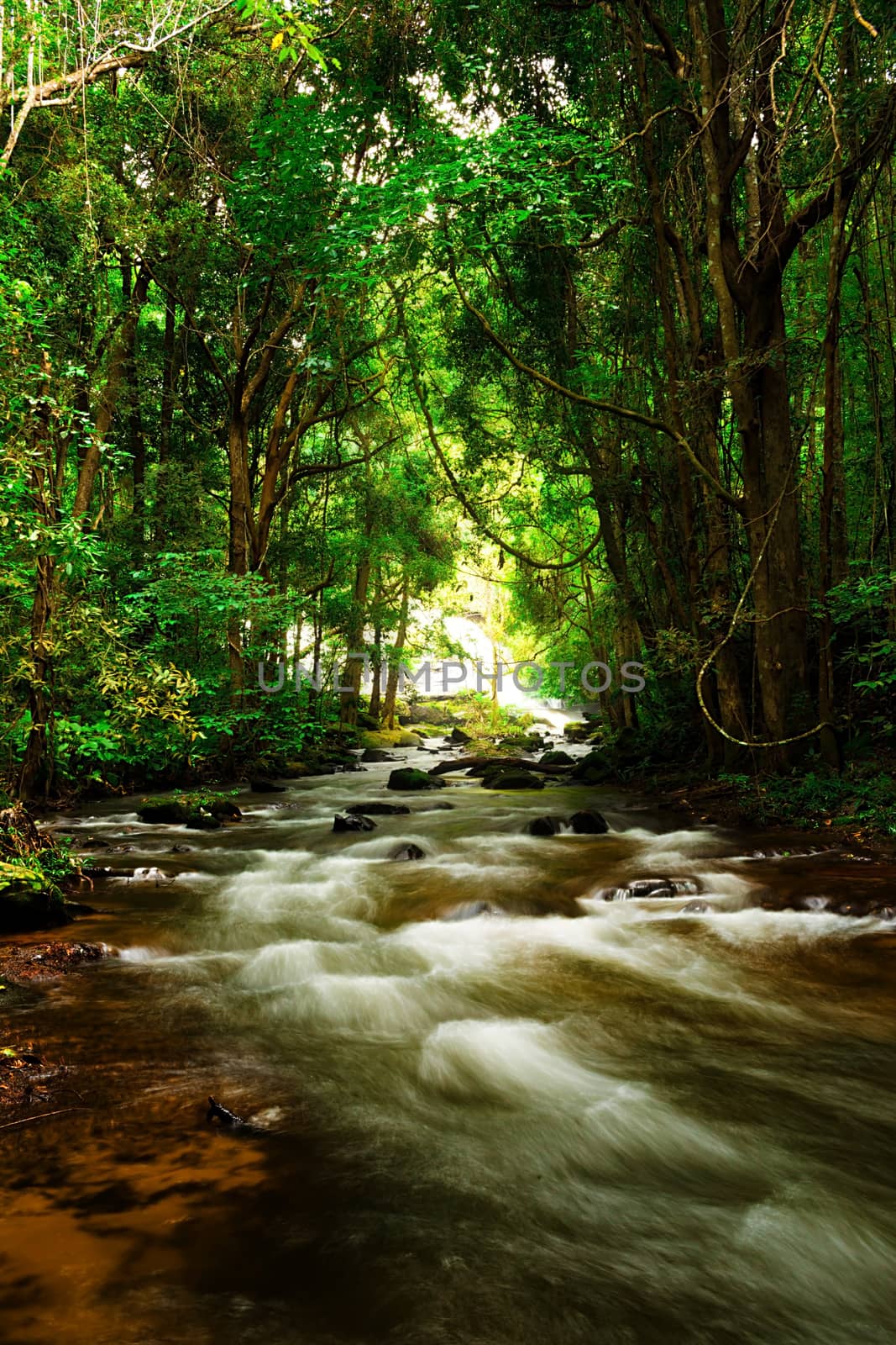 Pha Dok Seaw Waterfall in Chiang Mai, Thailand