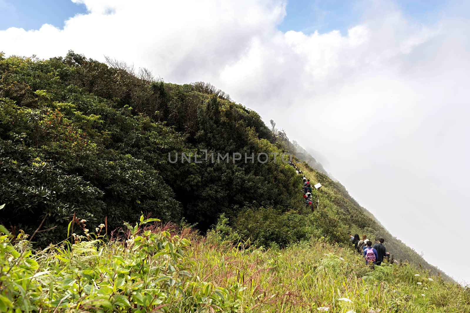 Landscape from Kew Mae Pan Nature Trail located at Chiang Mai