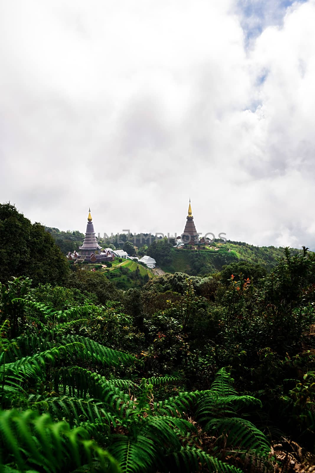 Landscape from Kew Mae Pan Nature Trail located at Chiang Mai