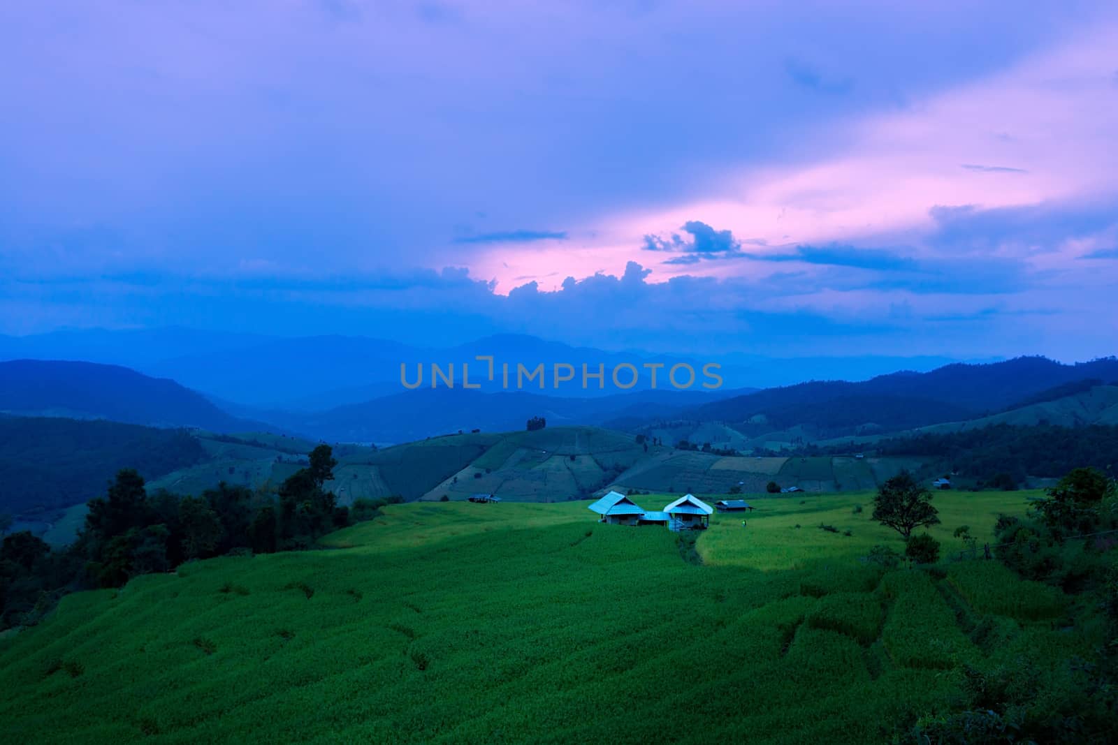 Rice terraces in Chiang Mai, Thailand