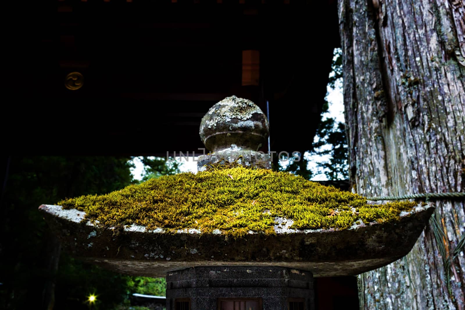 Mossy stone lantern with close-up detailed view
