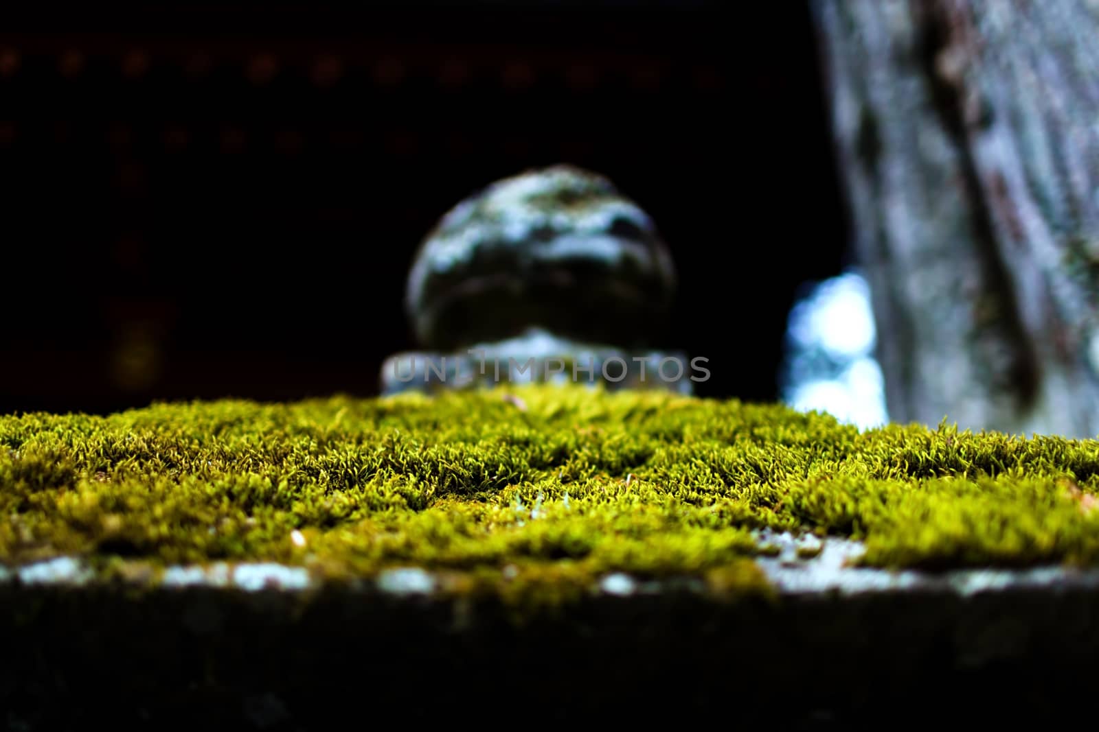 Mossy stone lantern with close-up detailed view