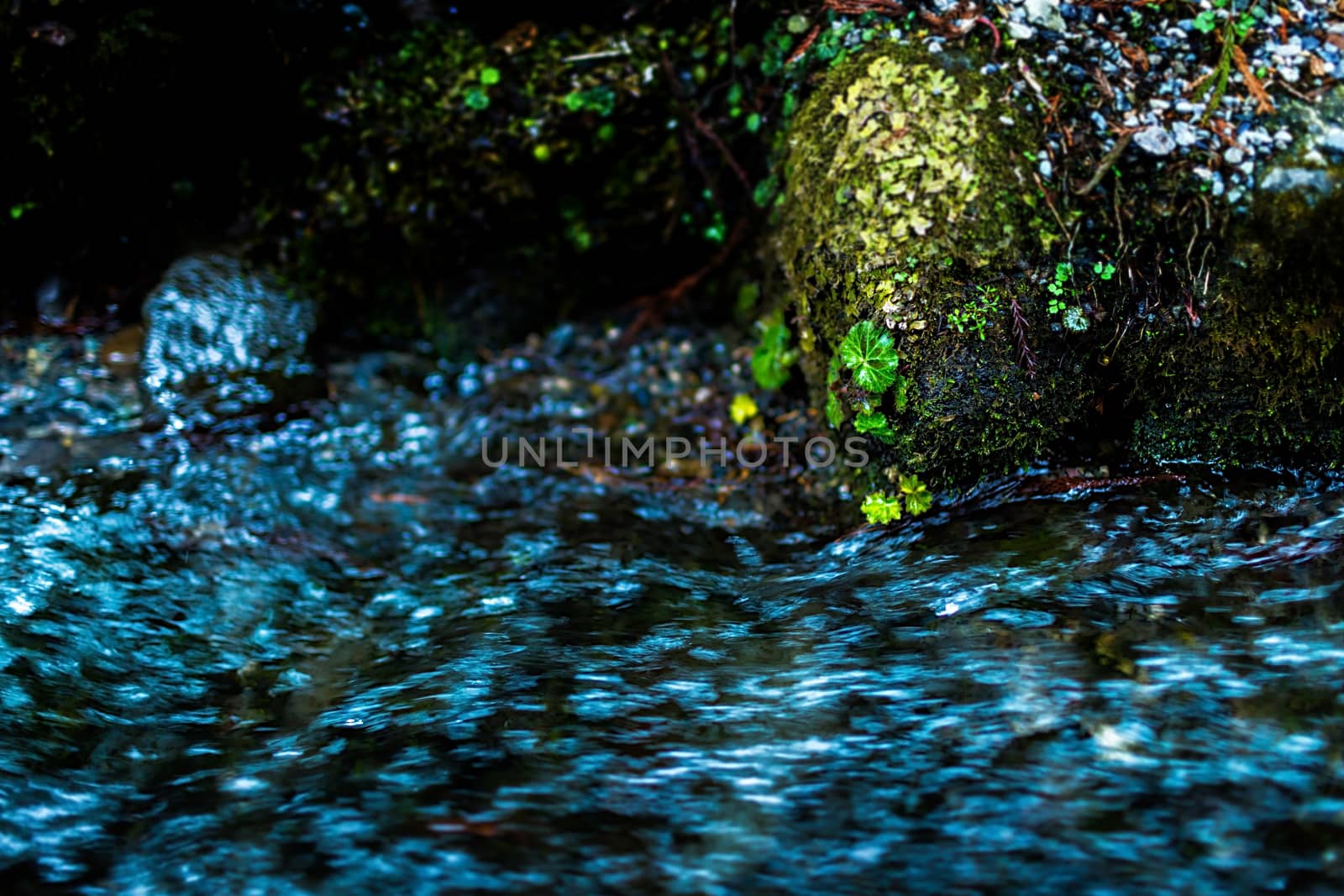 Water stream in Nikko, Japan