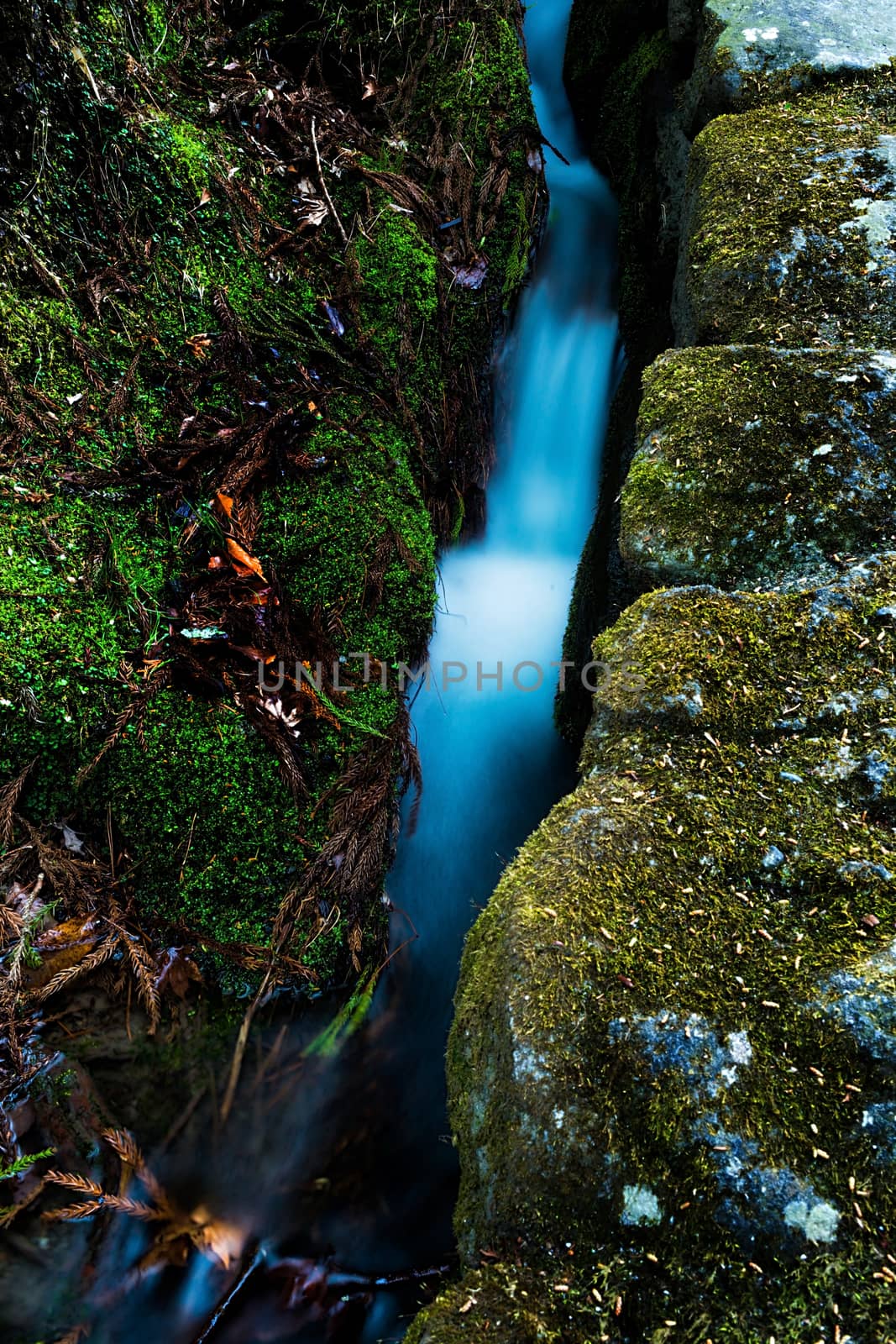 Water stream in Nikko, Japan