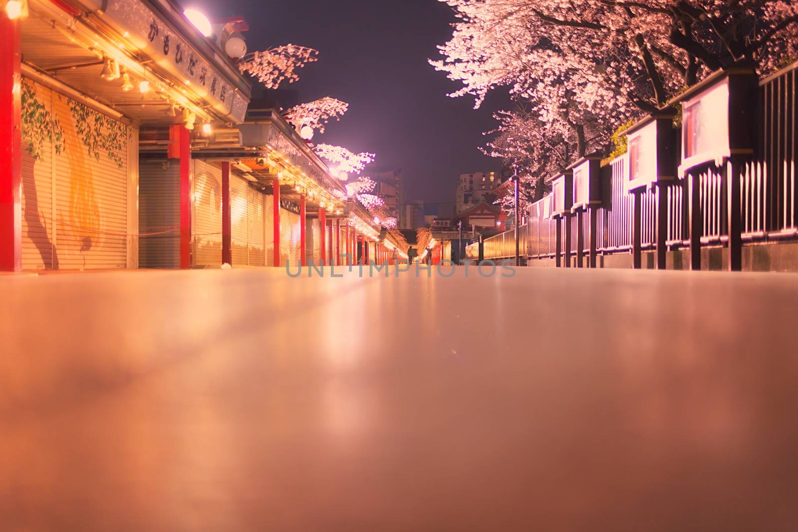 Sakura blossoms in Tokyo