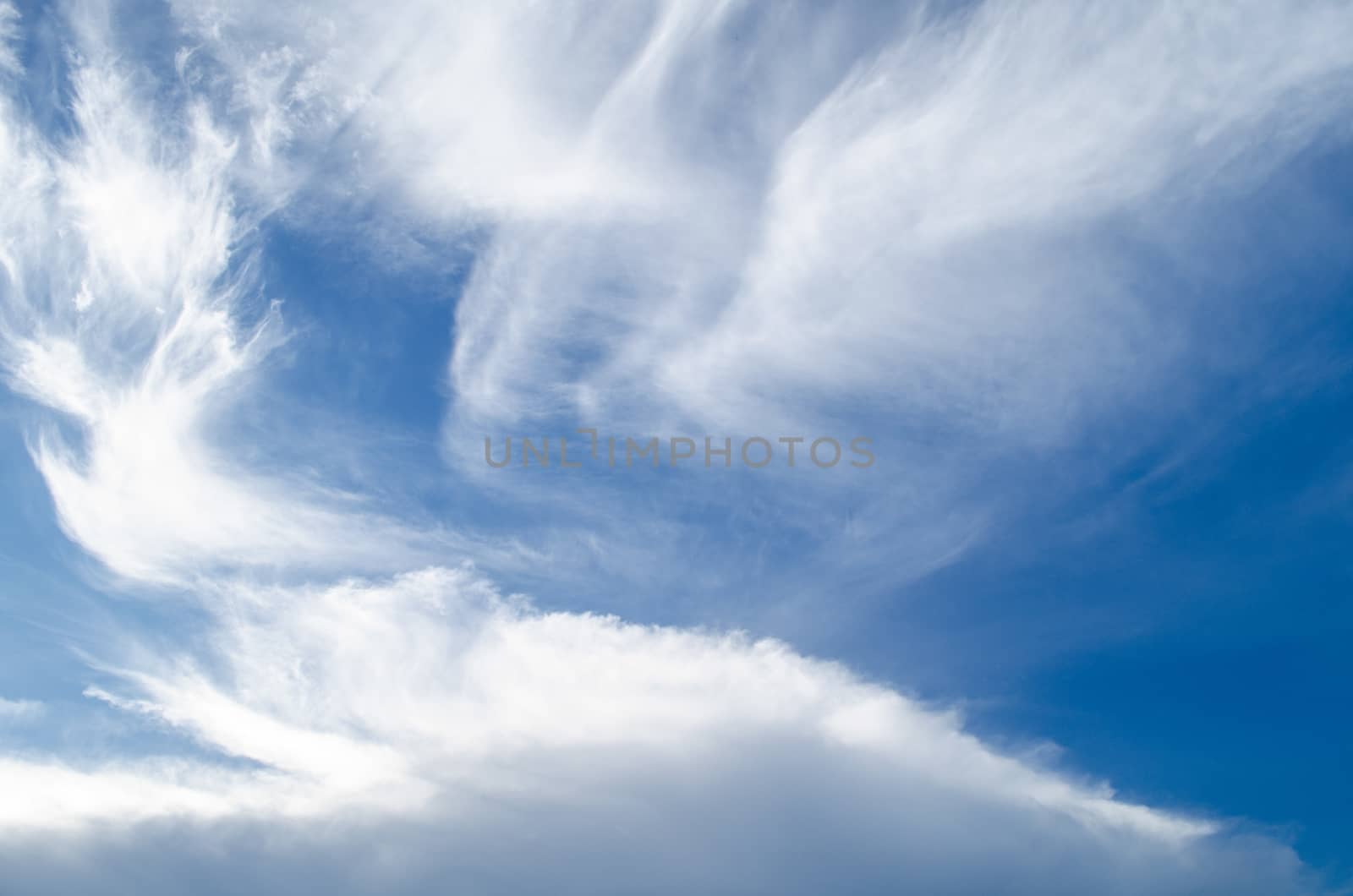 blue sky have cloud in winter season ,thai land ,have feeling happy
