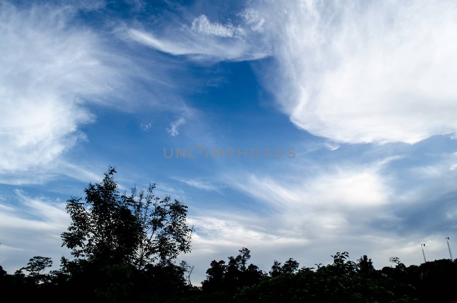 blue sky have cloud in winter season ,thai land ,have feeling happy
