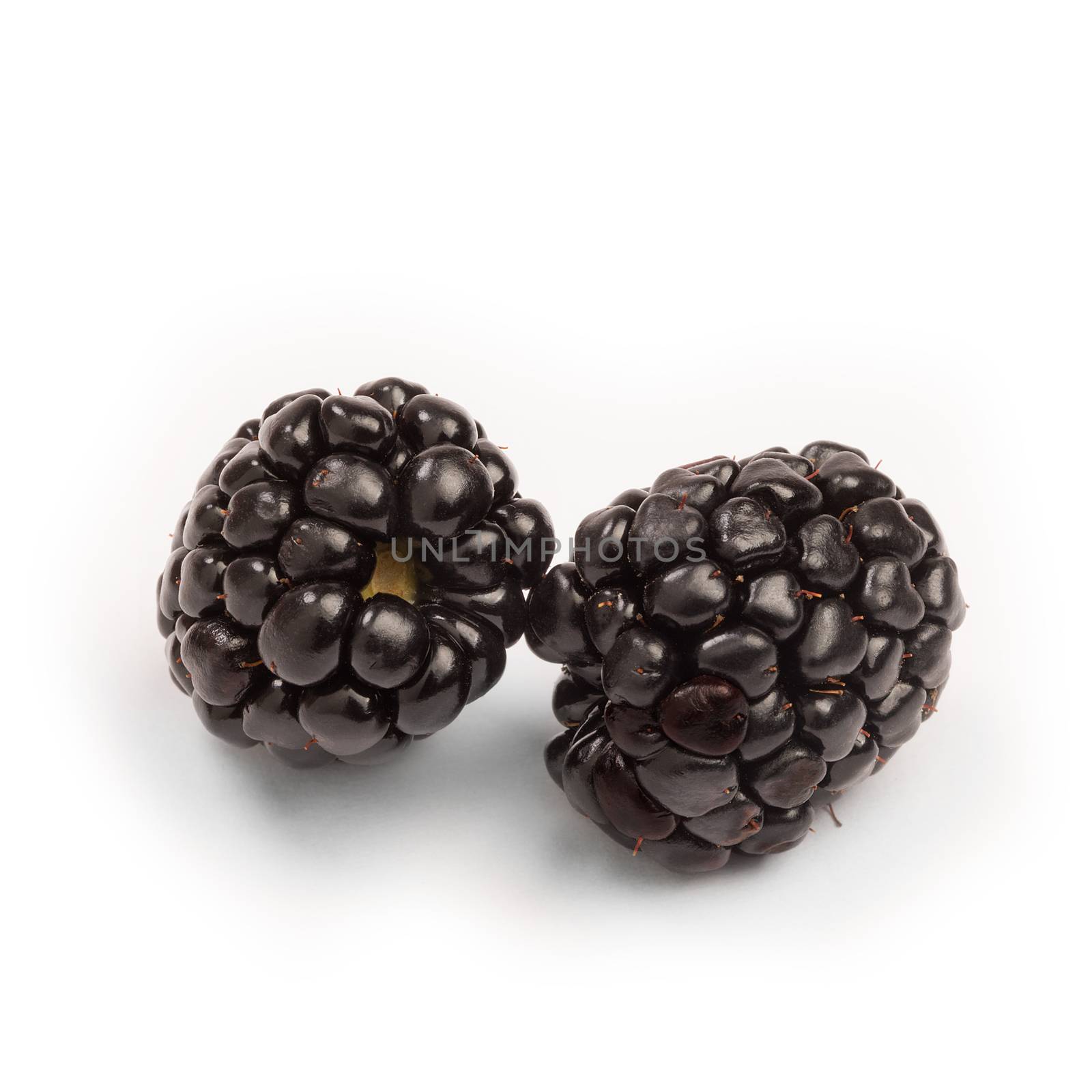 Group of two ripe blackberries isolated. Blackberries isolated, blackberry. by ivo_13