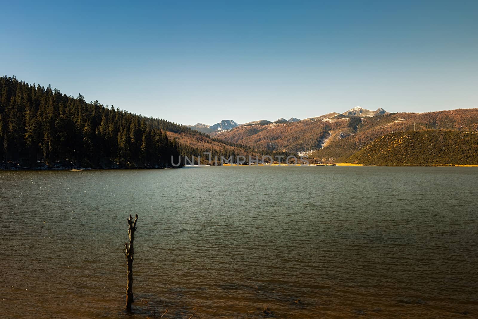 Landscape of Pudacuo National Park, Shangri-la, China