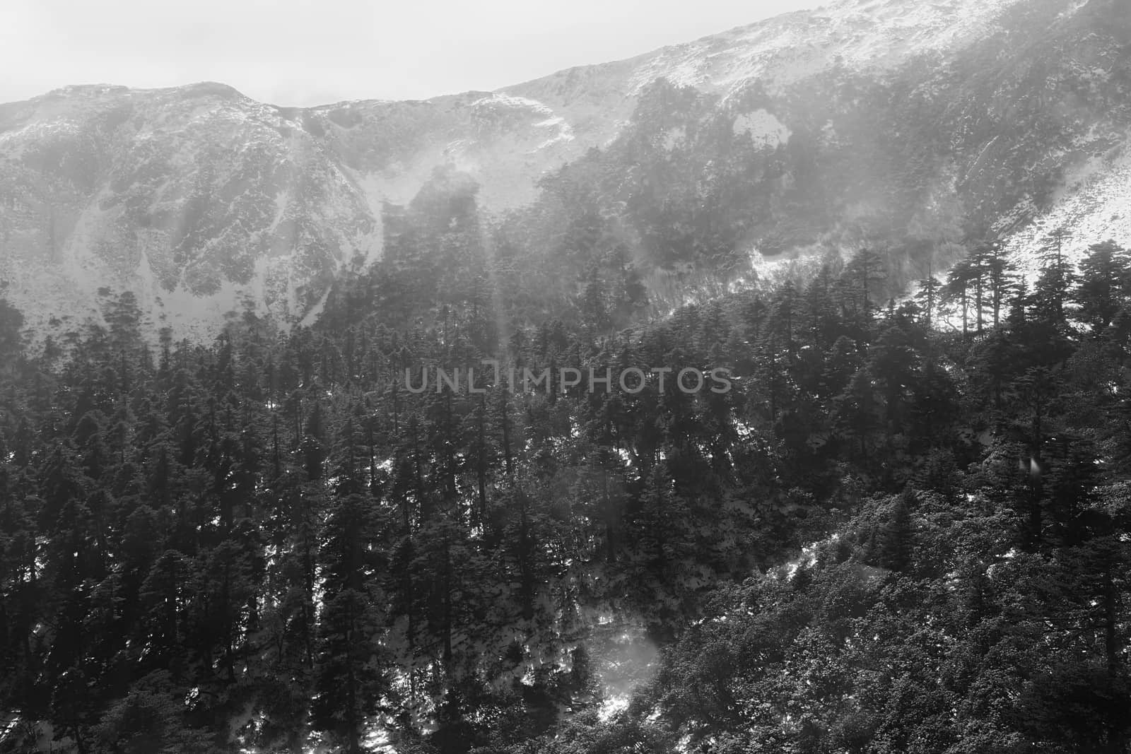 Shika Snow Mountain in Yunnan, China