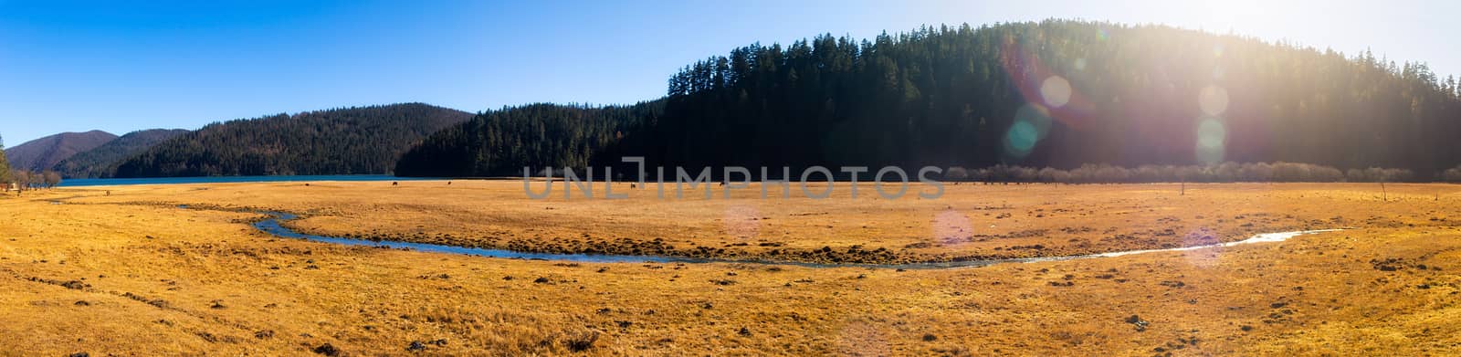 Landscape of Pudacuo National Park, Shangri-la, China