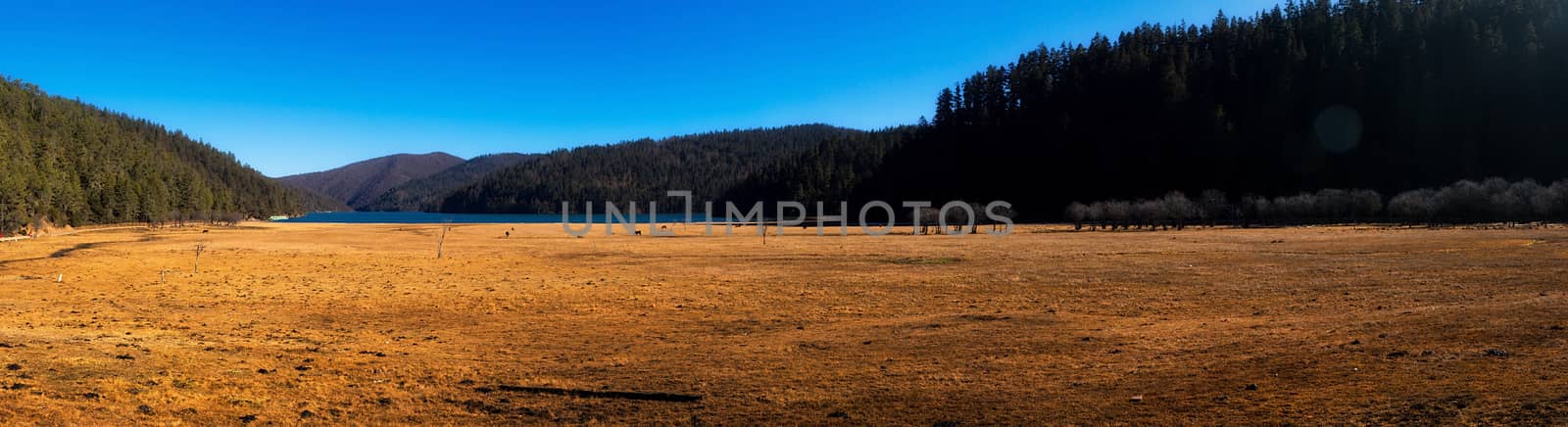 Landscape of Pudacuo National Park, Shangri-la, China