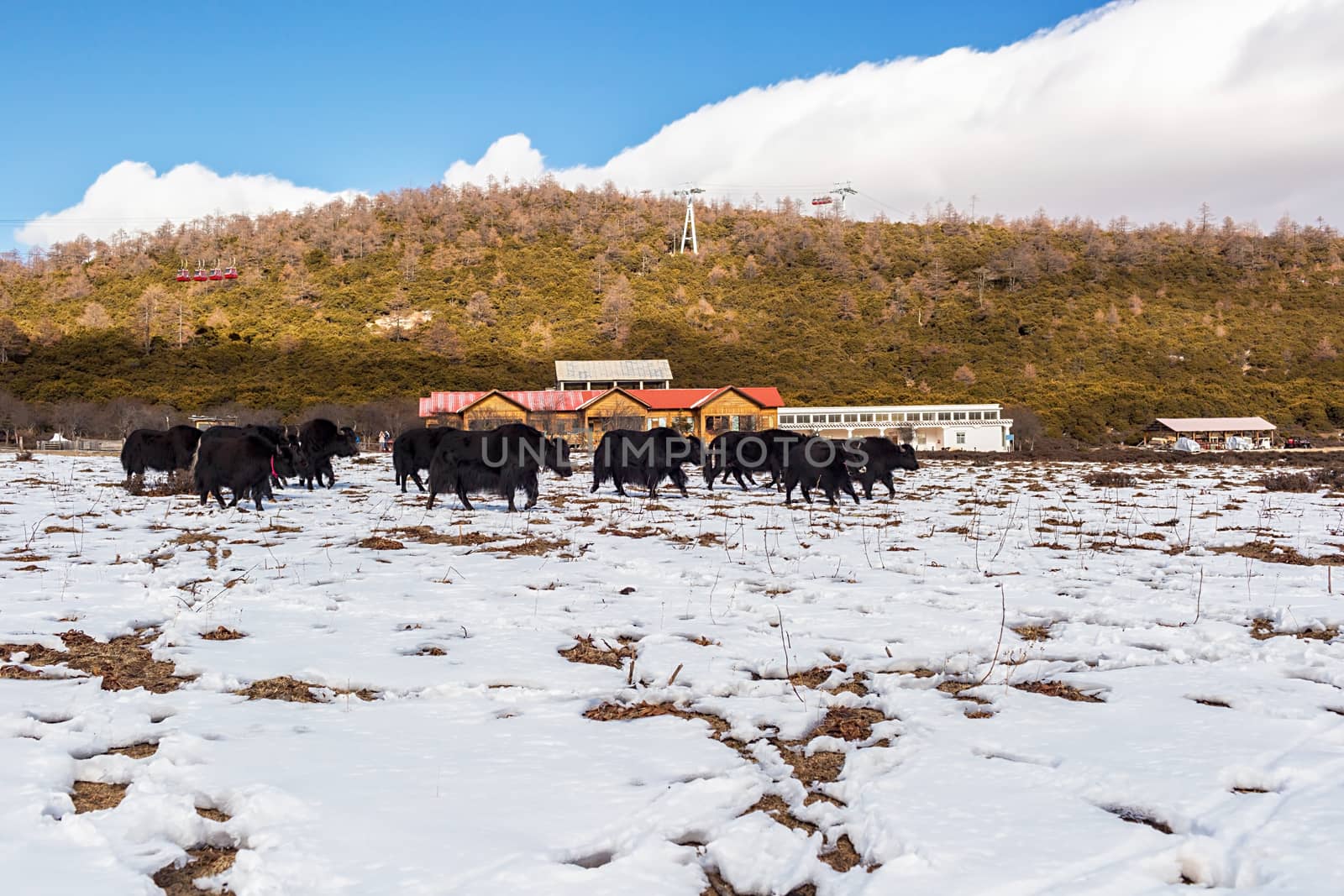 Shika Snow Mountain in Yunnan, China