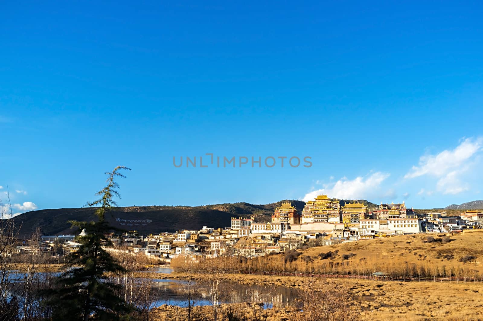 Songzanlin Monastery in Shangri-la, China