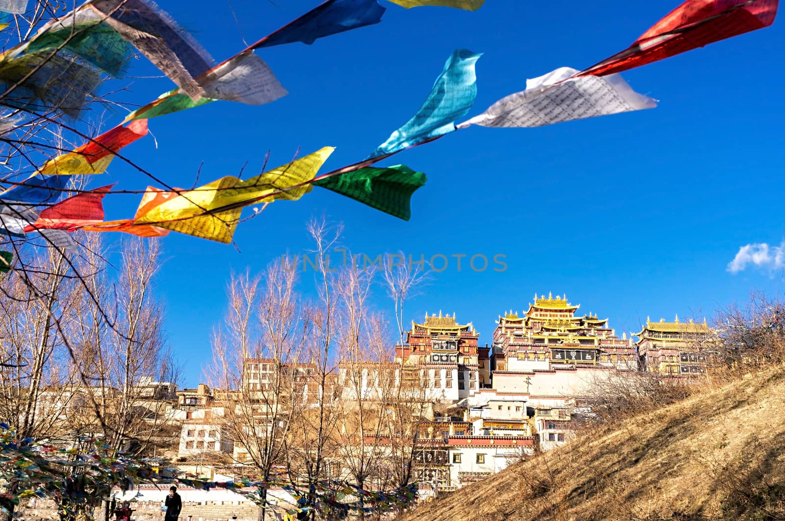 Songzanlin Monastery in Shangri-la, China