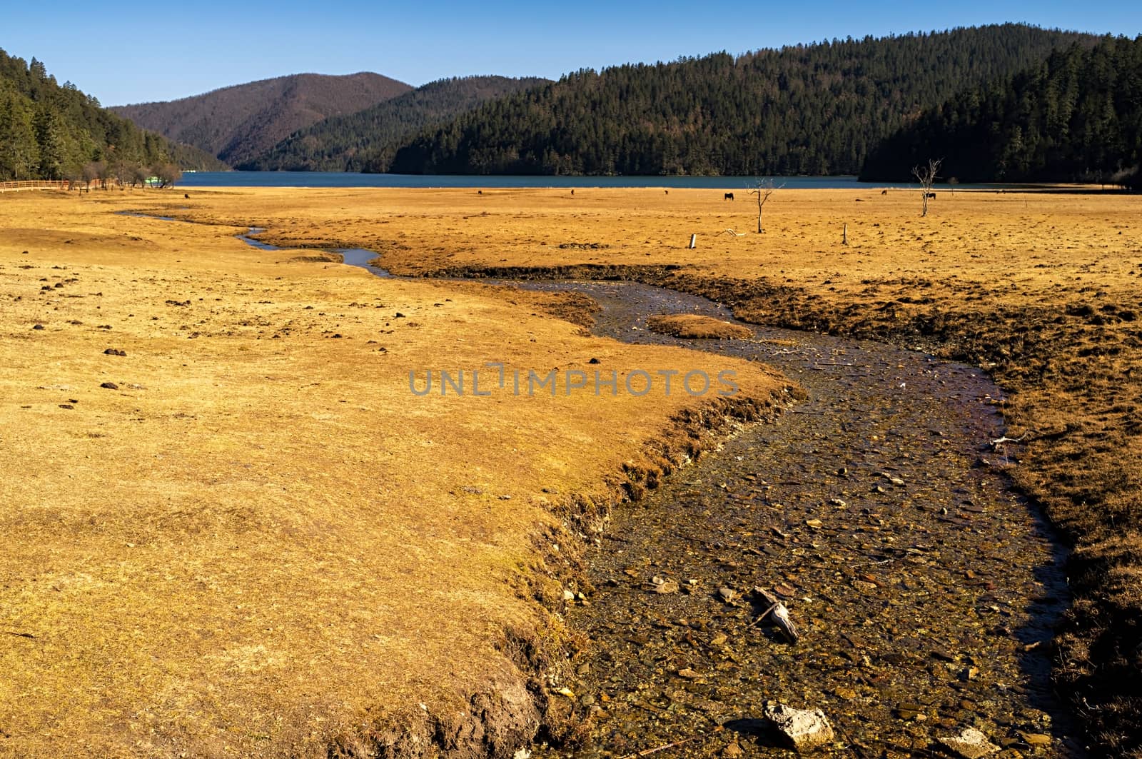 Landscape of Pudacuo National Park, Shangri-la, China