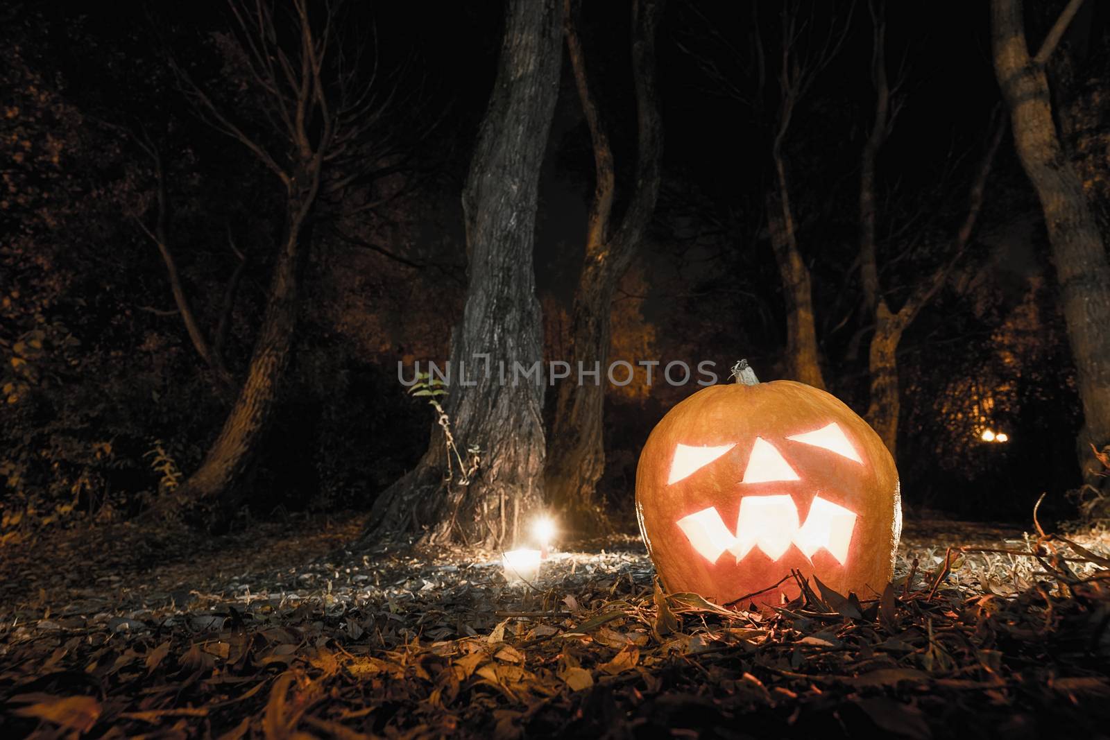 Scary pumpkin in the forest by AlexBush