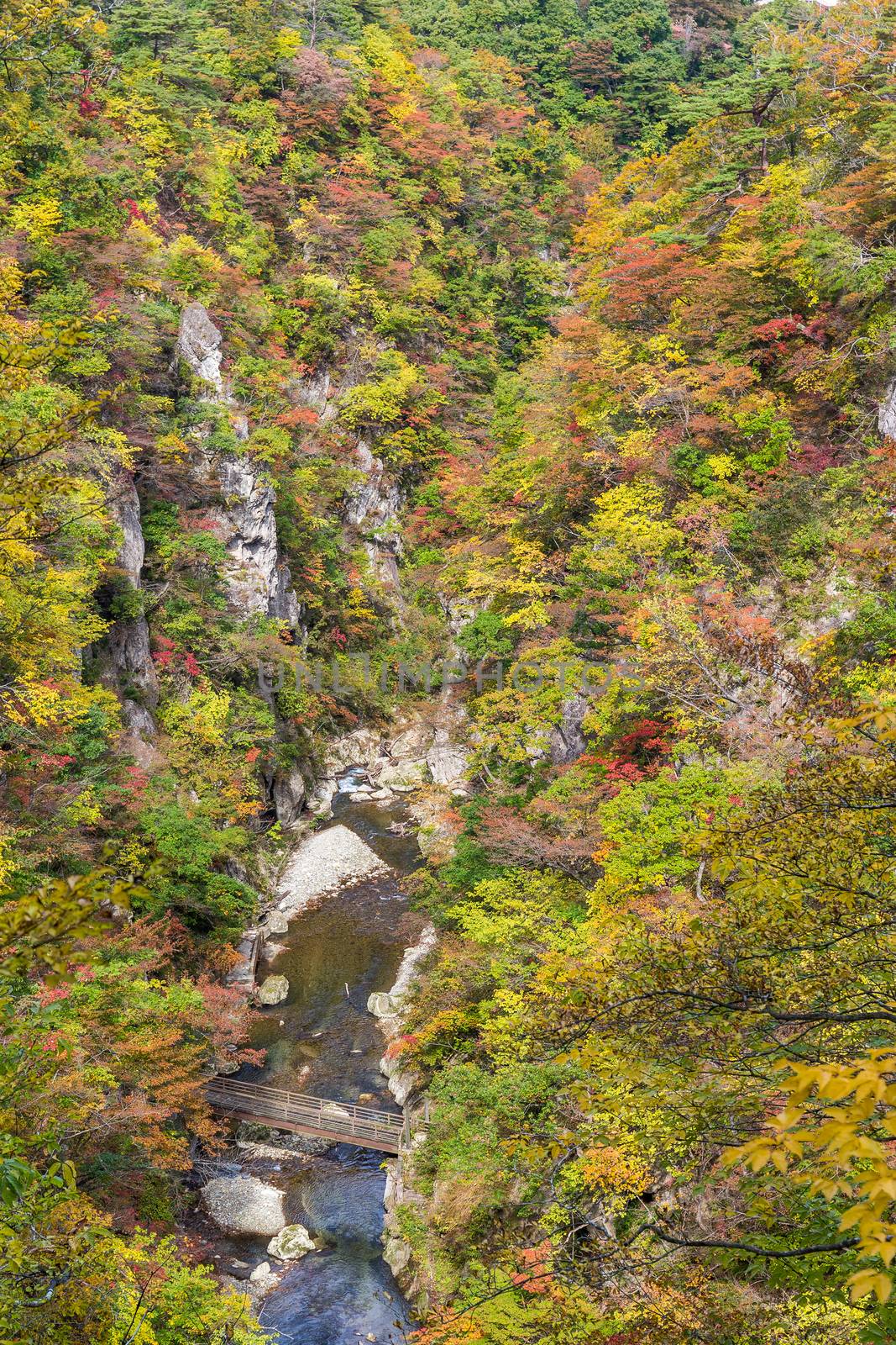 Naruko Gorge Valley with colorful foliage by leungchopan