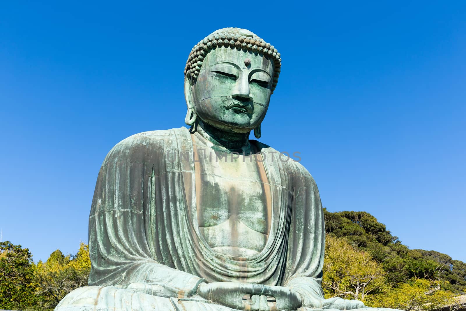 Buddha in Kamakura with sunny blue sky