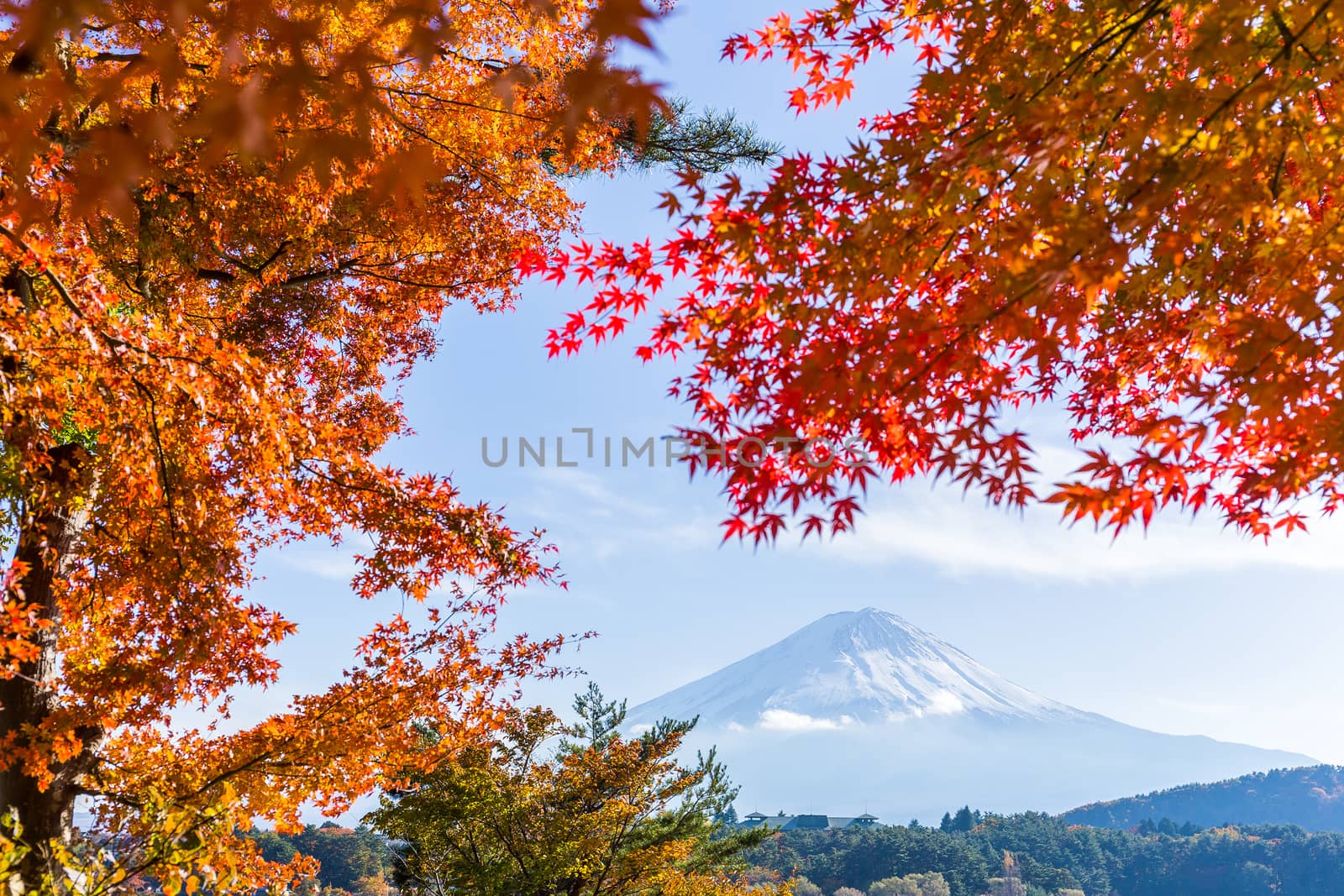 Mt Fuji in autumn view from lake Kawaguchiko