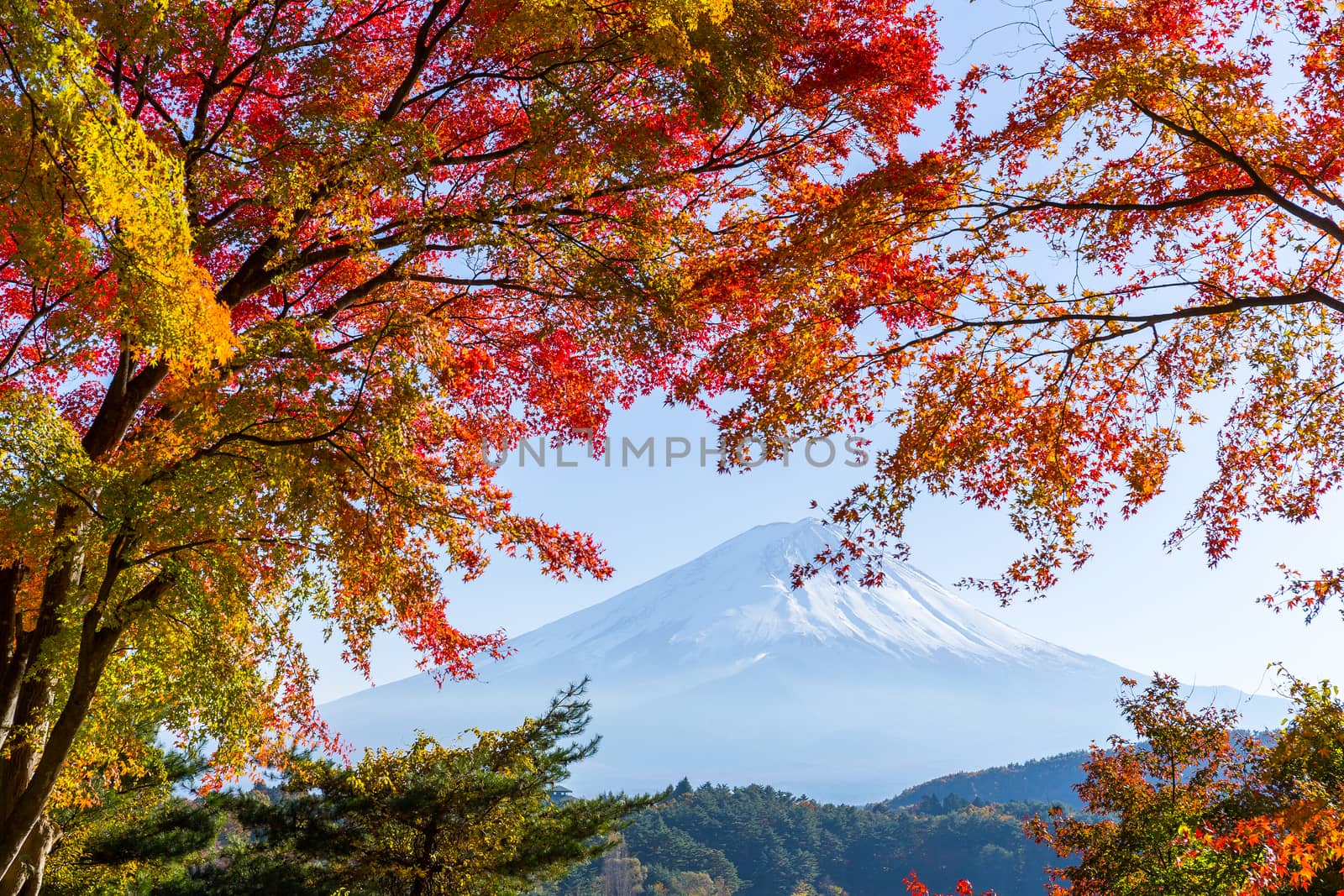 Lake kawaguchiko and Mt.Fuji in autumn