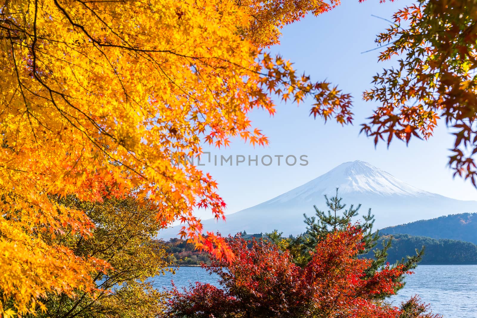 Mount Fuji and lake kawaguchi