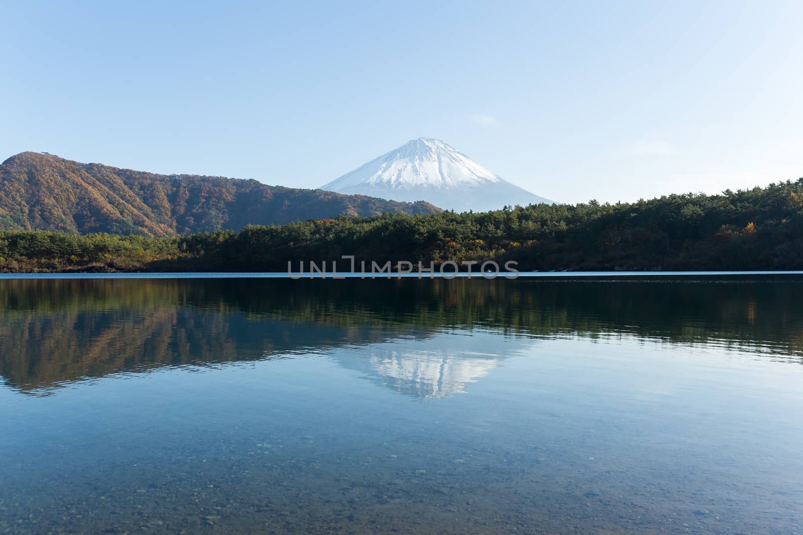 Mt Fuji with reflection on Saiko Lake
