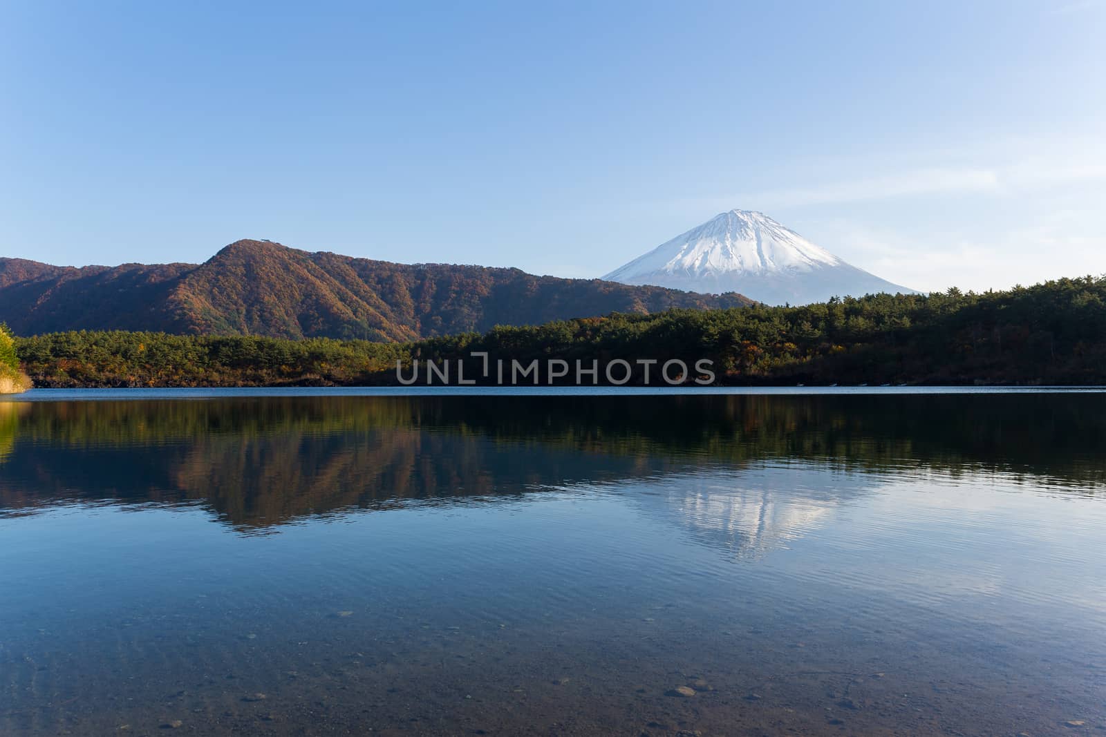 Lake saiko and mountain Fuji