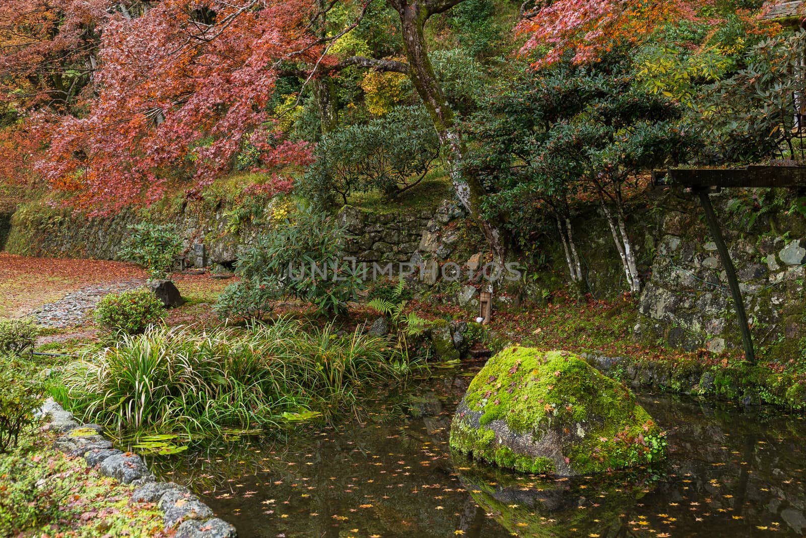 Japanese temple in autumn season by leungchopan