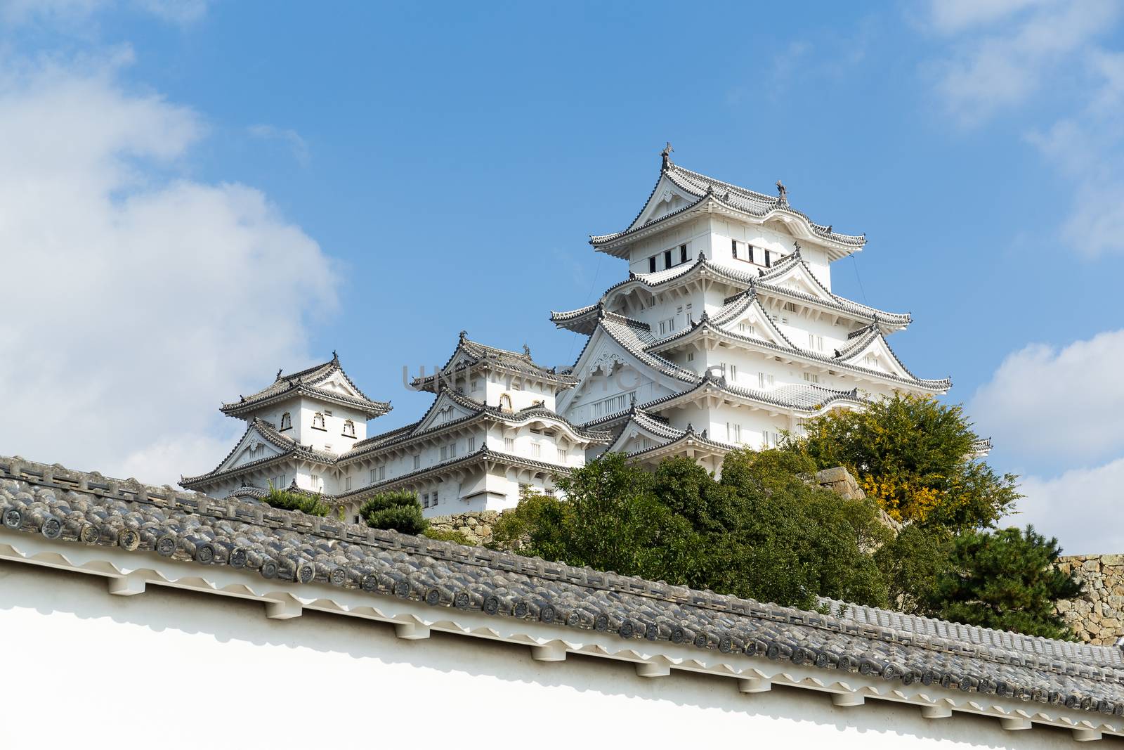 Himeji castle in japan by leungchopan